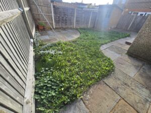 Lawn Returfing at Hemel Hempstead 2