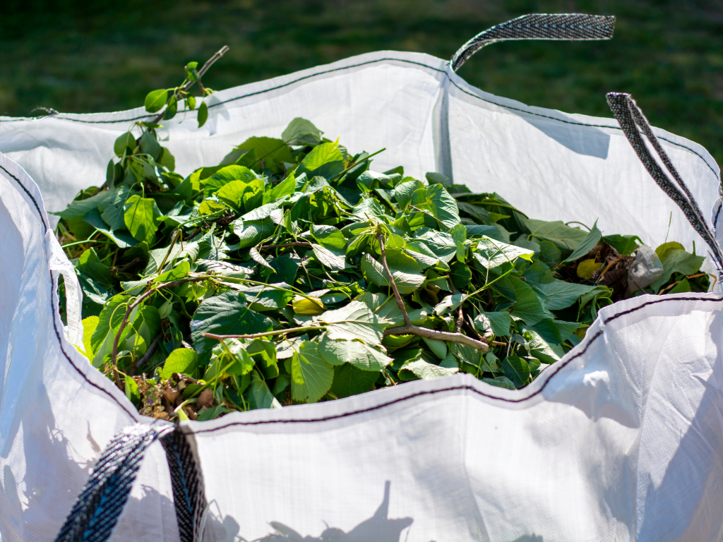 Garden Clearance in Welwyn Garden City
