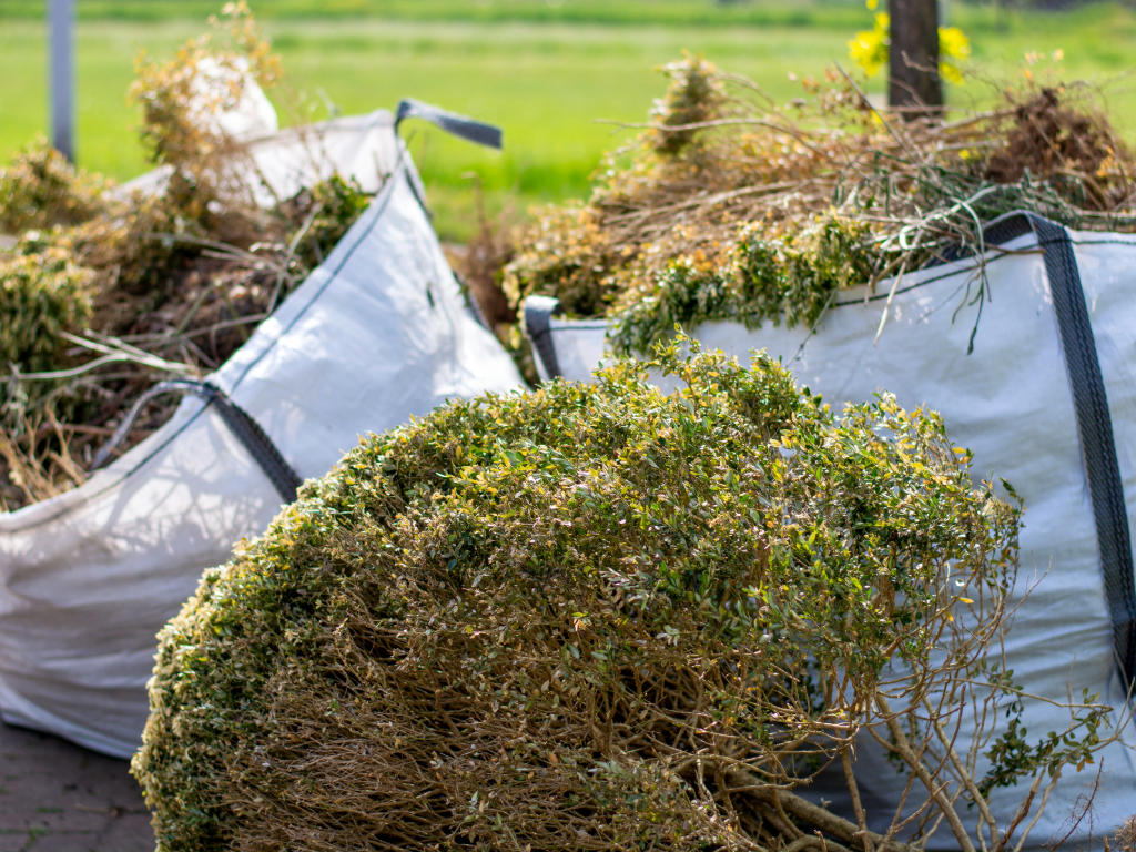 Garden Clearance in Stevenage