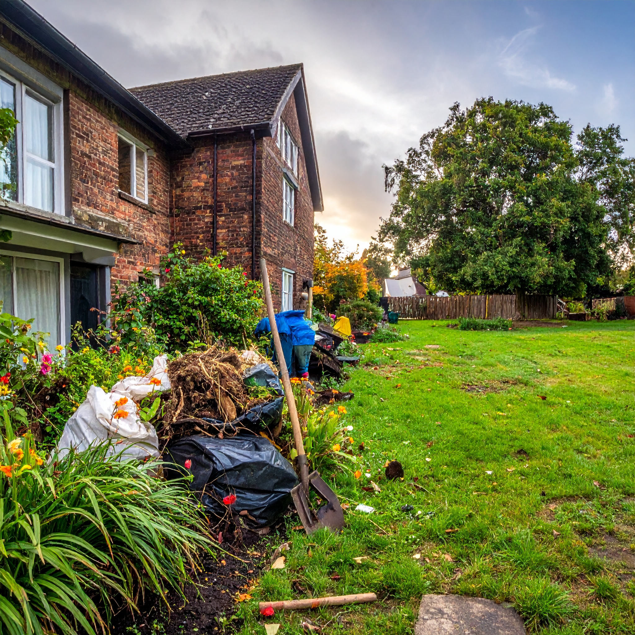 Garden Clearance prices