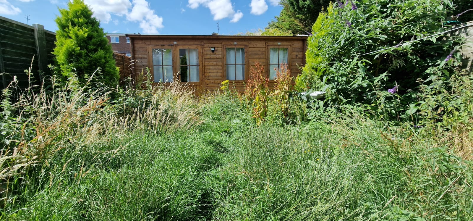 Garden Clearance in Borehamwood