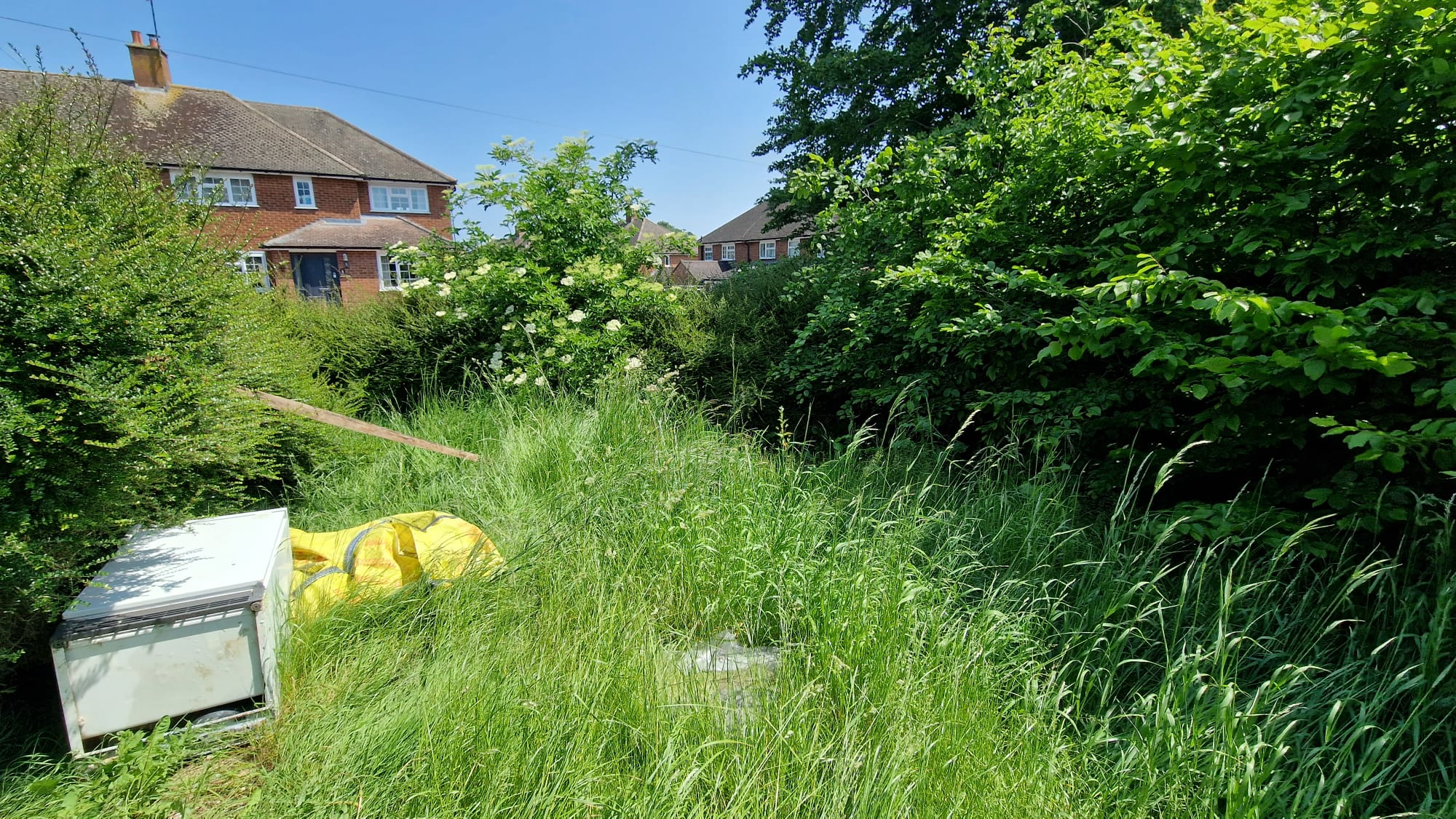 Garden Clearance in Bedford