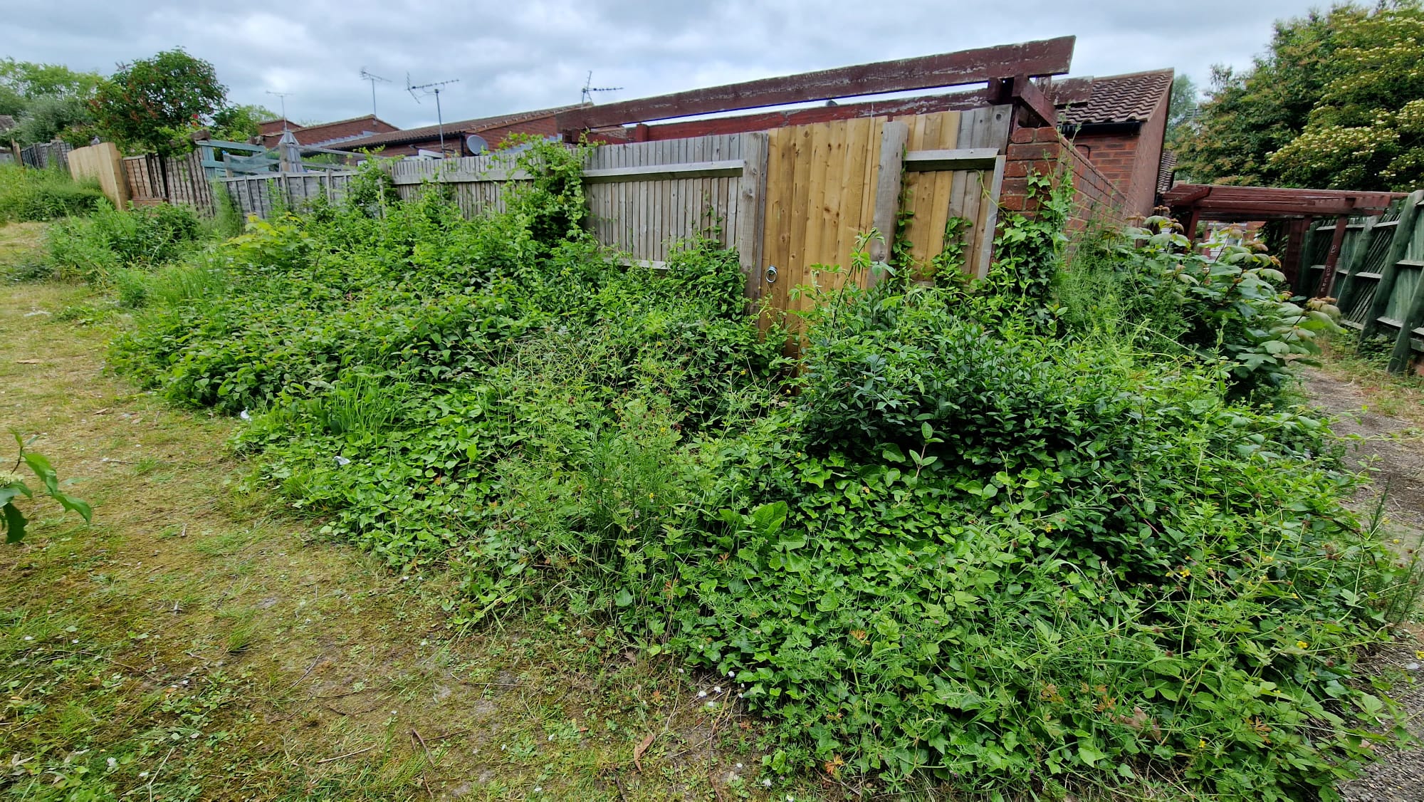 Garden Clearance in Biggleswade