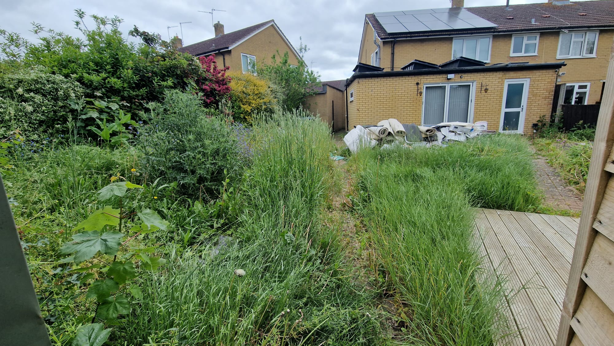 Garden Clearance in Hemel Hempstead