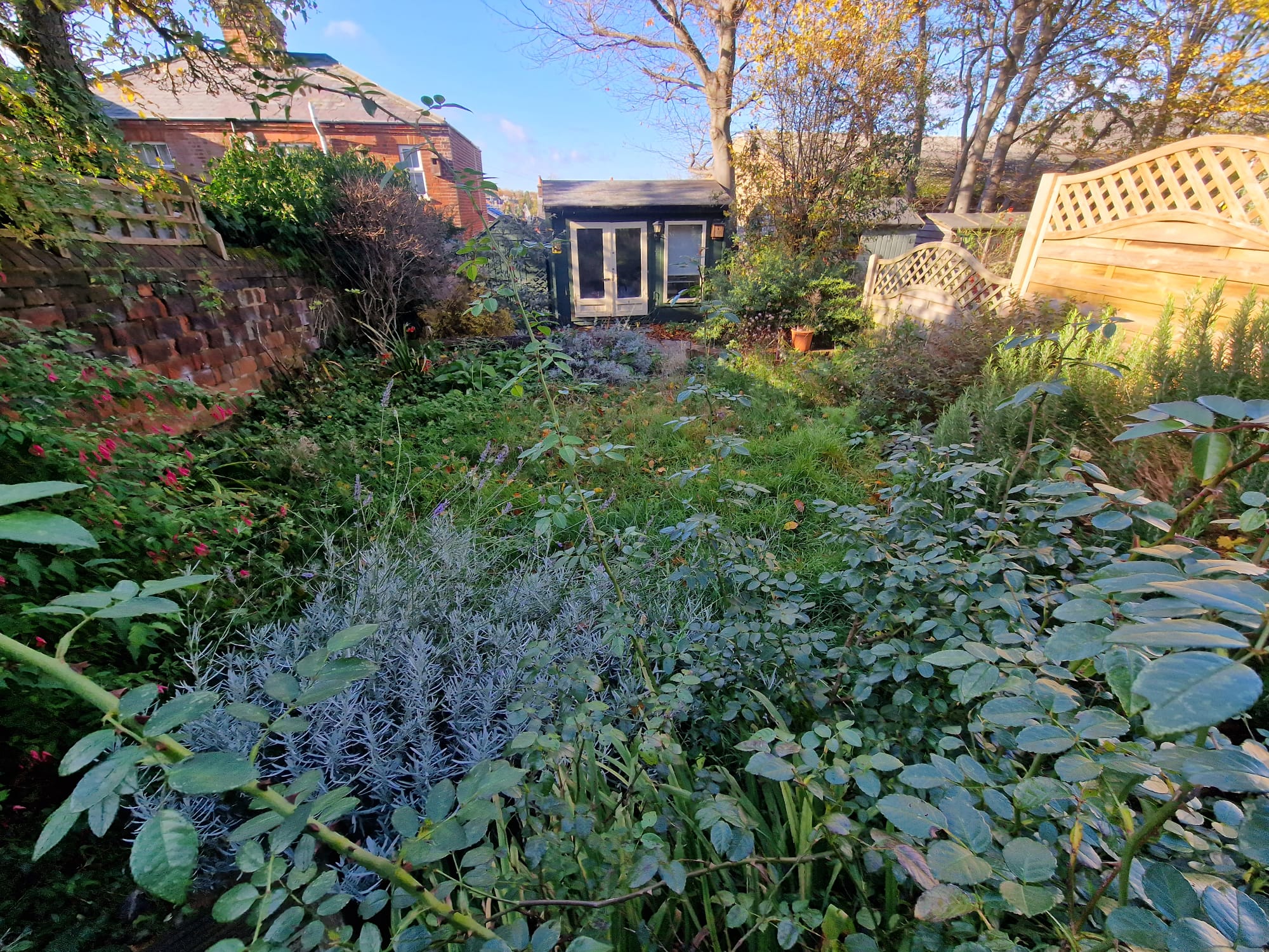 Garden Clearance in Sandy