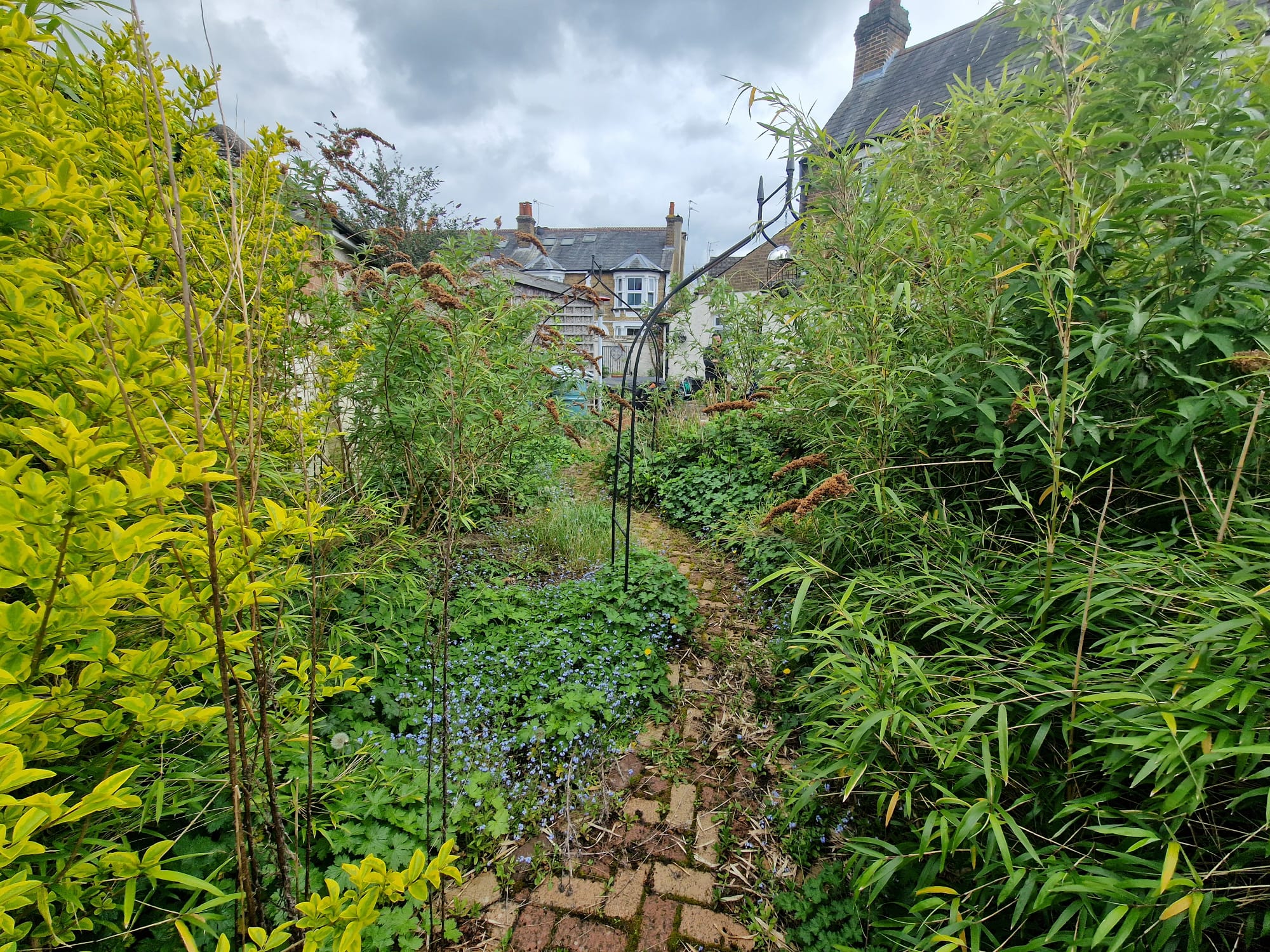 Garden Clearance in Shefford